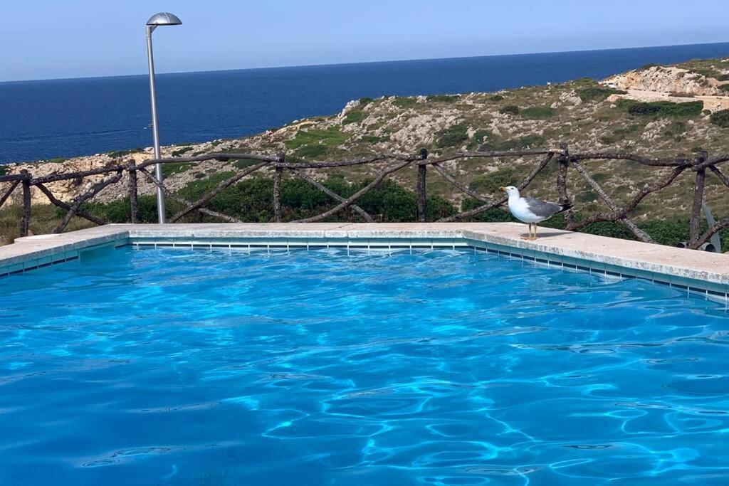 Apartamento A Estrenar Con Vistas Al Mar. 손 파르크 외부 사진
